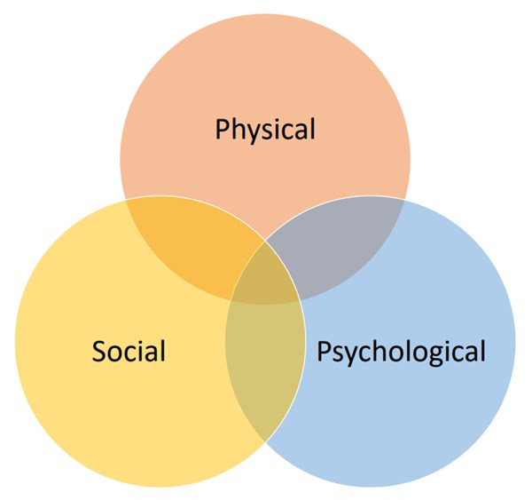 A venn diagram of three interlinking circles which have the words, physical, social and psychological in them.